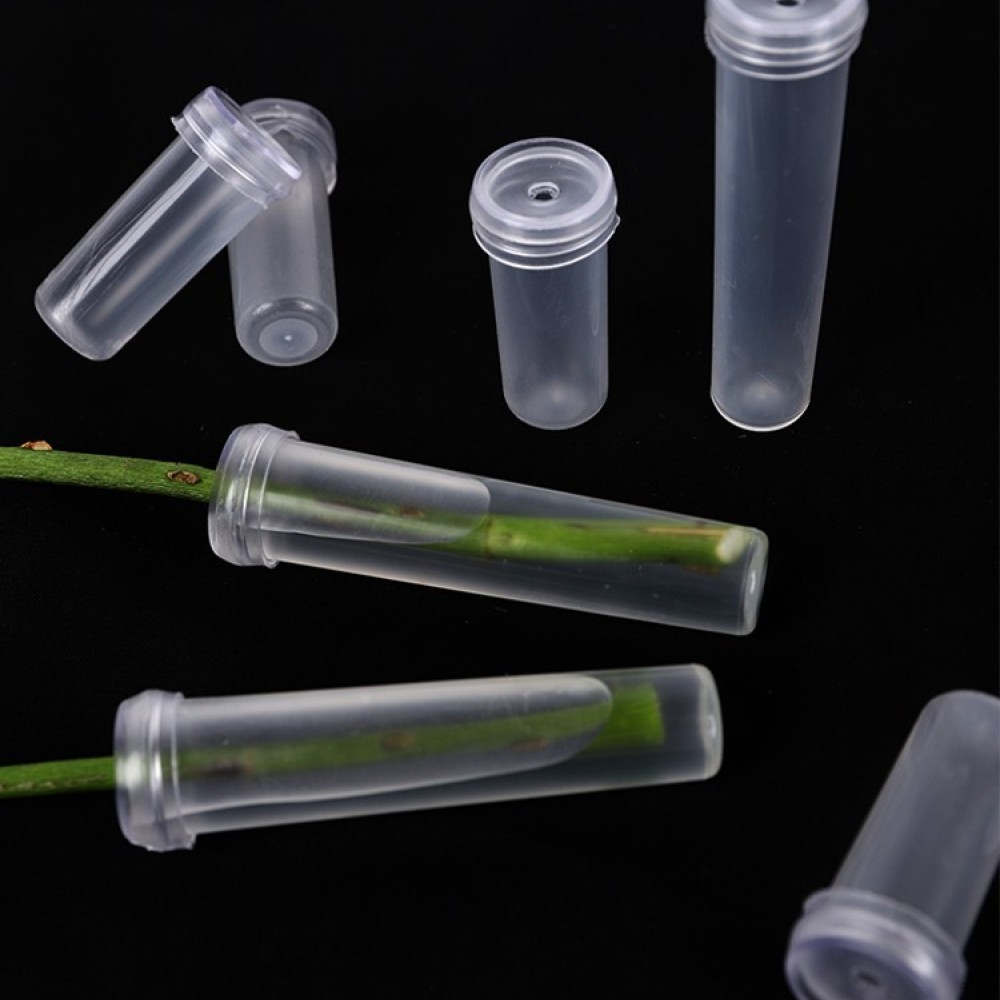 Longs Florist Supply - Fiale di Acqua Floreale a Lunga