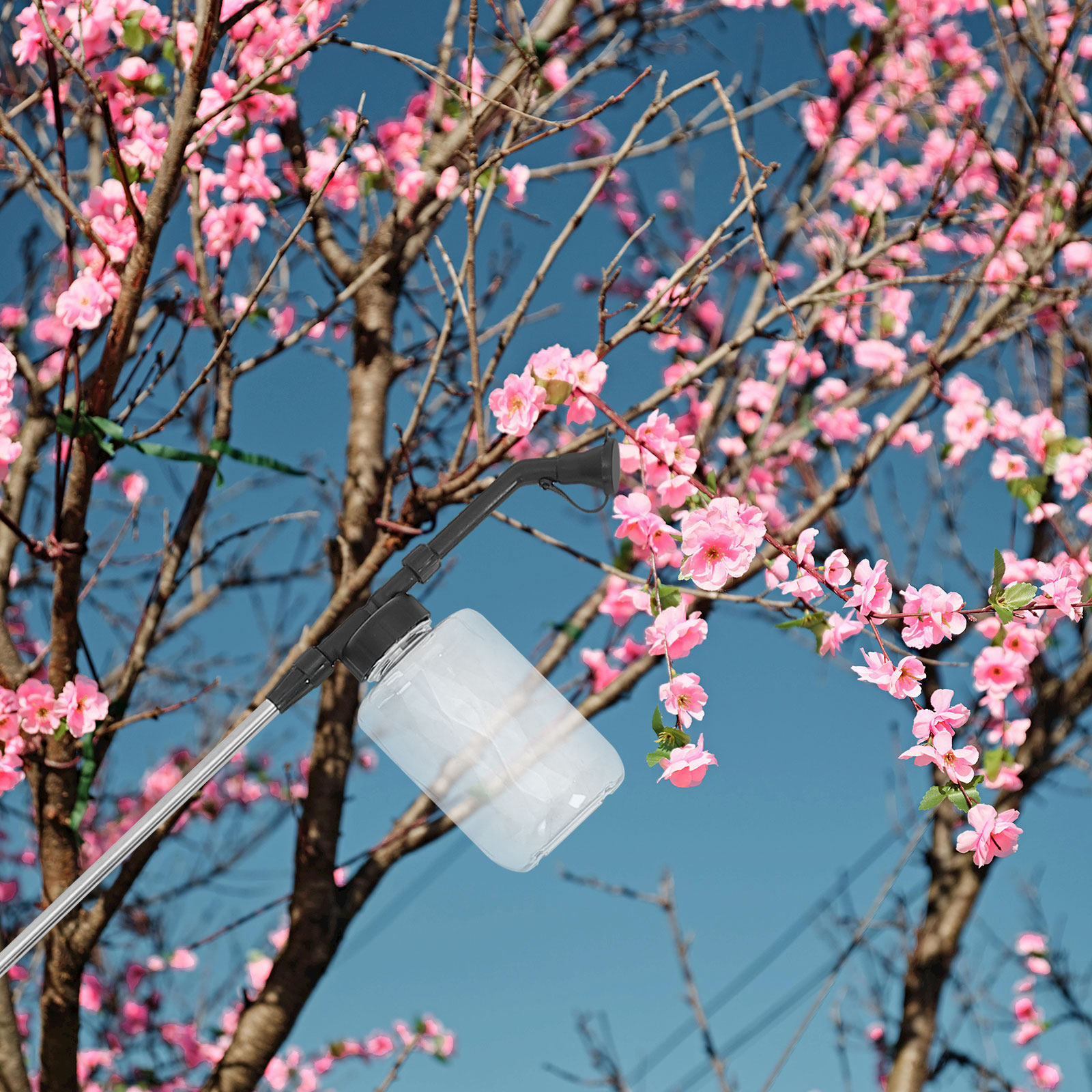 Bacchetta per pollinazione man - Flower Supply recensione e prezzo