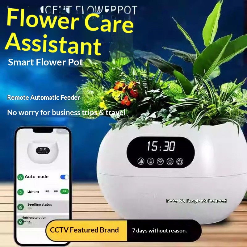 Vaso Intelligente AI con Irrig - Flower Supply recensione e prezzo