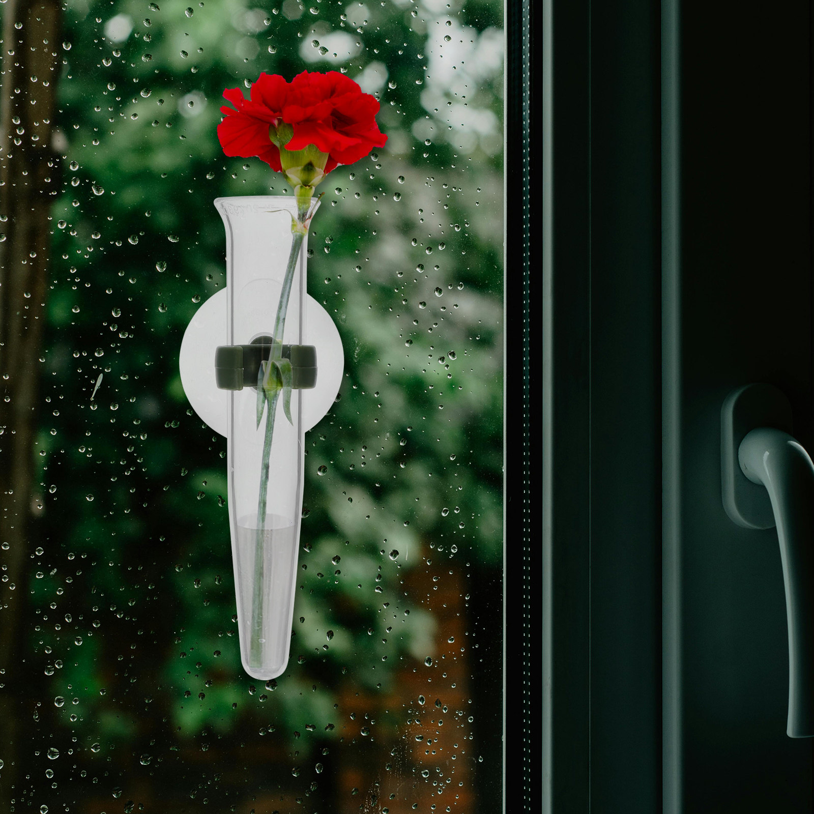 8 tubi di stoccaggio con tappo - Longs Florist Supply recensione e prezzo